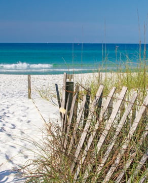 Henderson Beach State Park