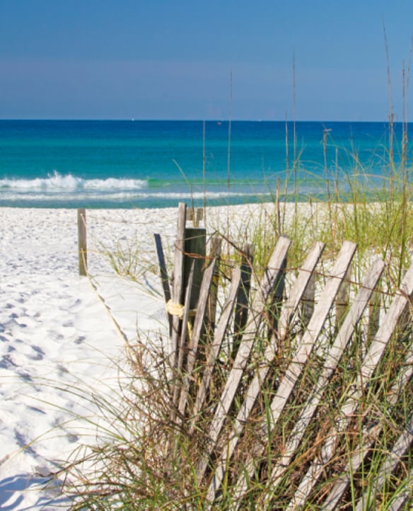 Henderson Beach State Park