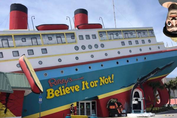 ripley's ship