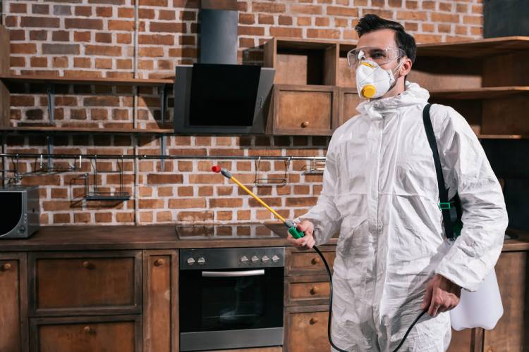Pest Control for your Florida Vacation Rental Pest Control for your Florida Vacation Rental
