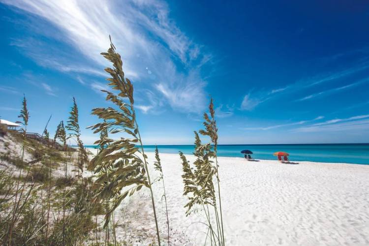 best places to stay in panama city beach florida