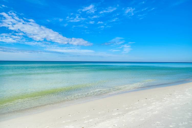Panama City Beach, Florida: The Best Things To See & Do
