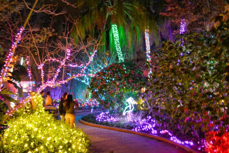 Top 10 List of MustVisit Towns in Florida for the Winter Holidays