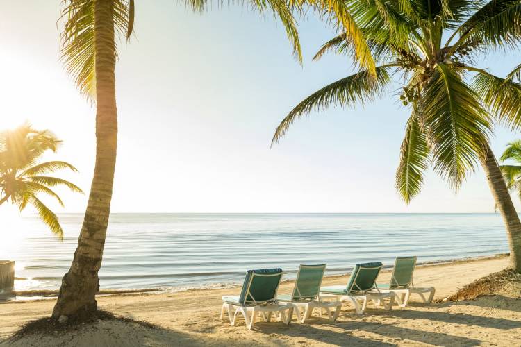 beach vacation in sunny florida with palmtrees