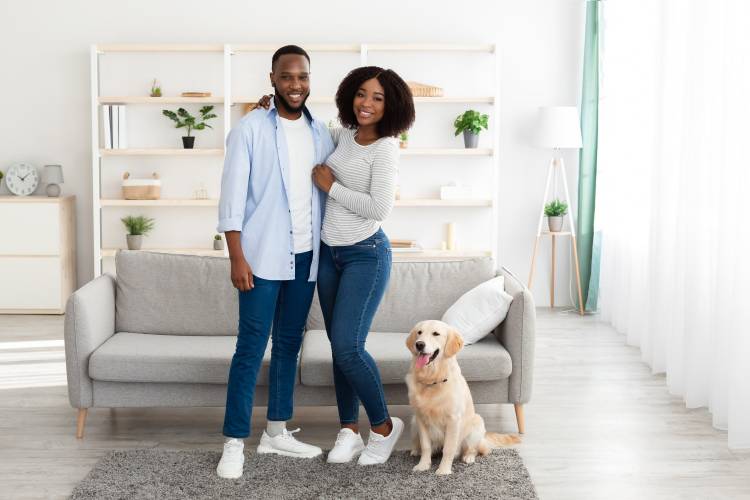 pet friendly vacation rental properties, pros and cons of allowing pets in vacation rental pet friendly vacation rental properties, pros and cons of allowing pets in vacation rental