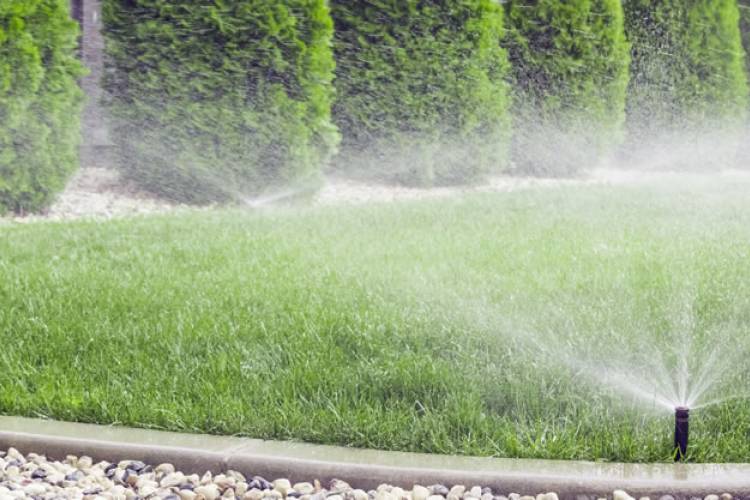 Guide to Irrigation & Sprinkler Systems for your Florida Beach Home
