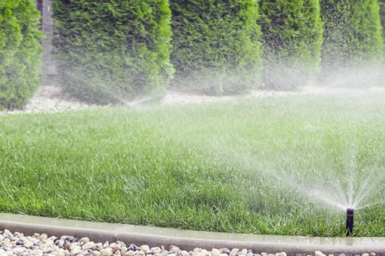 Guide to Irrigation & Sprinkler Systems for your Florida Beach Home Guide to Irrigation & Sprinkler Systems for your Florida Beach Home