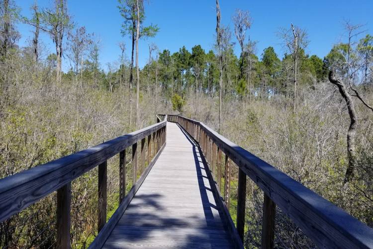 conservation park panama city beach