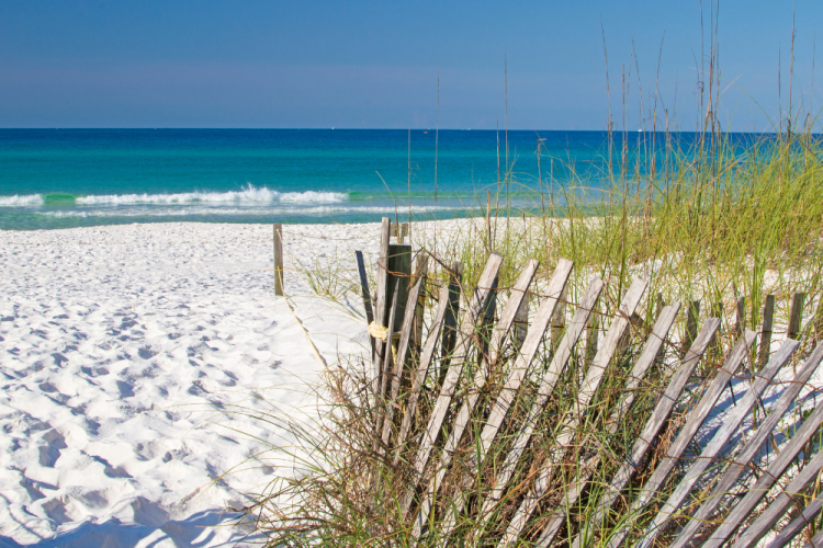 beautiful beach at Henderson beach state park