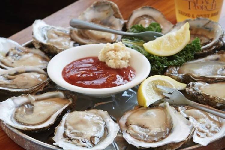 Raw Oysters Best Seafood in Panama City Beach FL