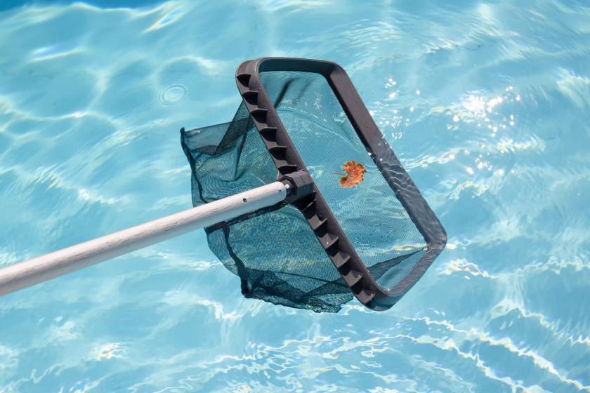 swimming pool cleaning maintenance with net