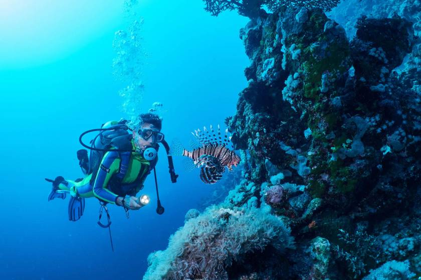 Scuba Diving Adventures