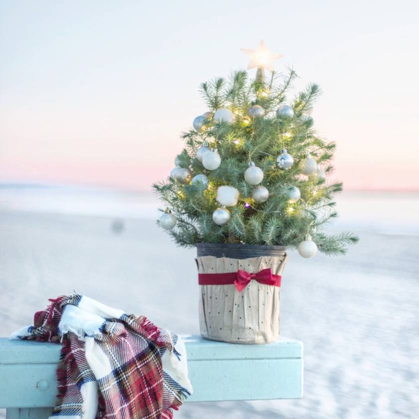 christmas holiday beach festivities events