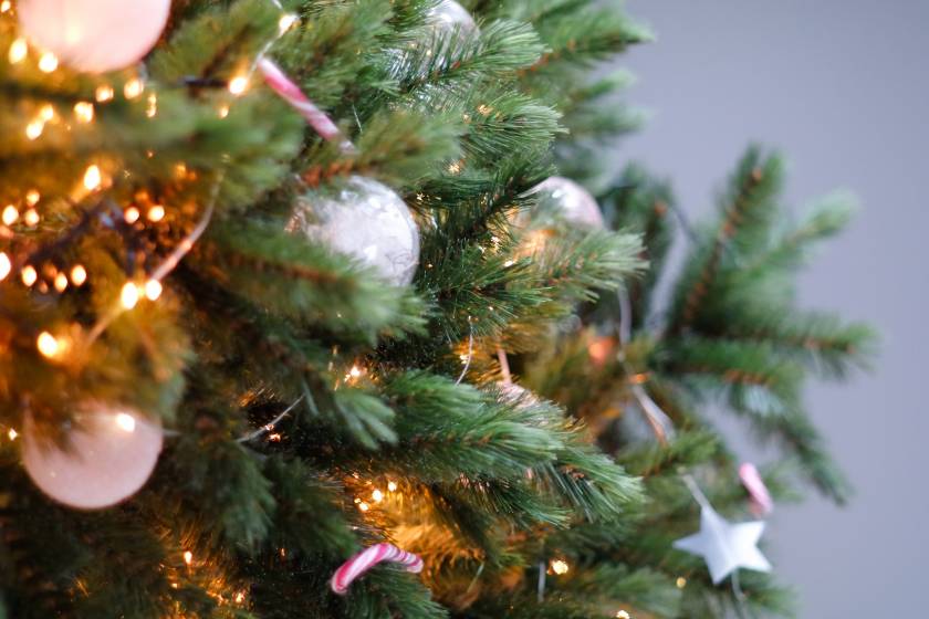 christmas holiday tree festivities beach florida