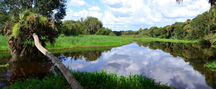 florida state park, myakka river state park, florida national parks, southwest florida parks