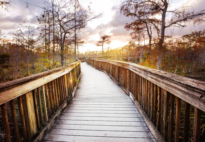 florida everglades national park