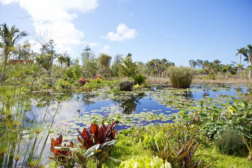 florida naples botanical garden