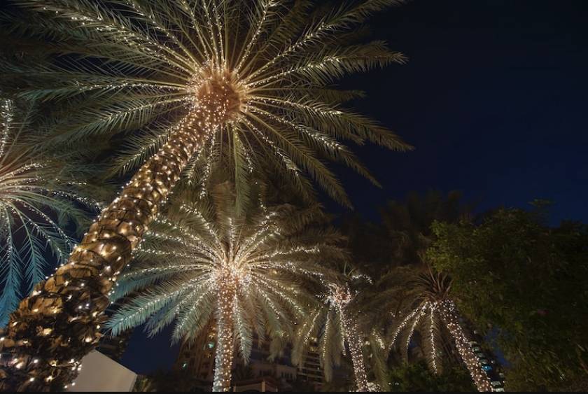 key-west-bight-before-christmas-palm-trees-lights