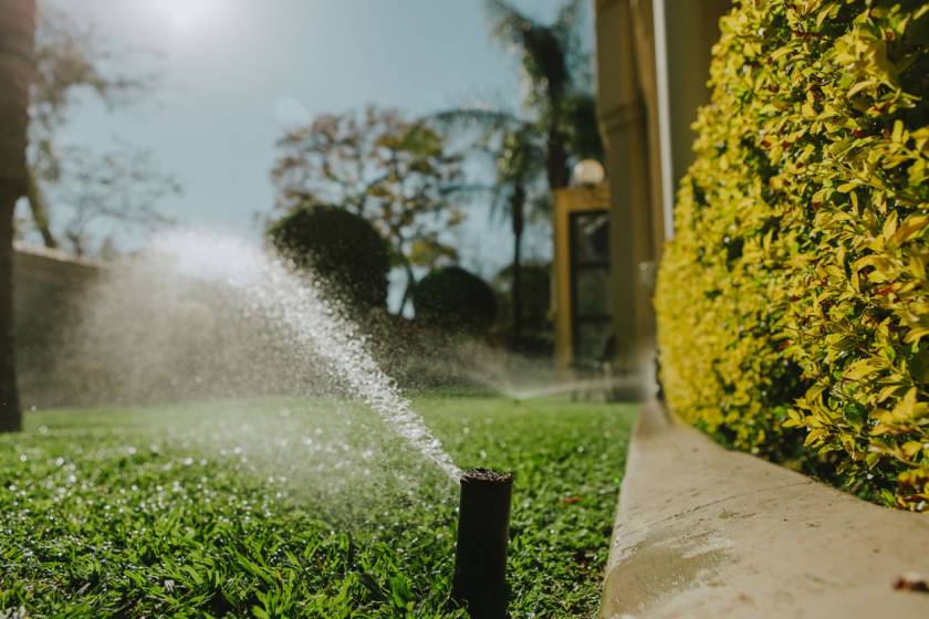 drip irrigation and sprinkler systems